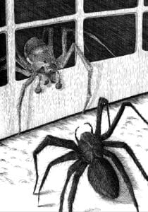 Illustration DHALM_12