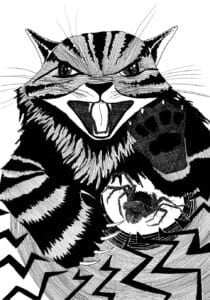 Illustration DHALM_14