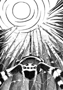 Illustration DHALM_3