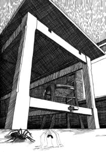 Illustration DHALM_7