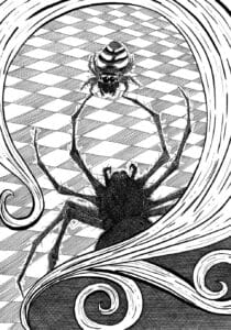 Illustration DHALM_9